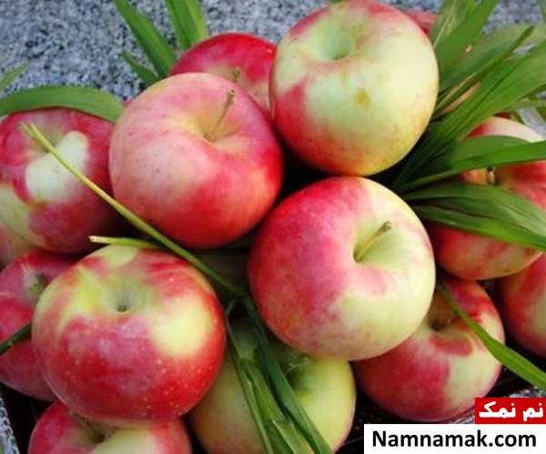 نوبرانه بهاری نوبرانه های فصل بهار
