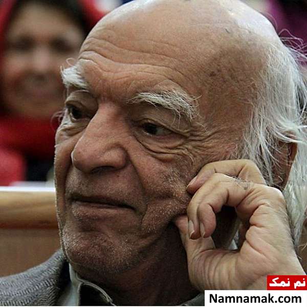 نجف دریابندری مترجم و نویسنده