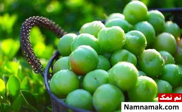گوجه سبز برای جنین