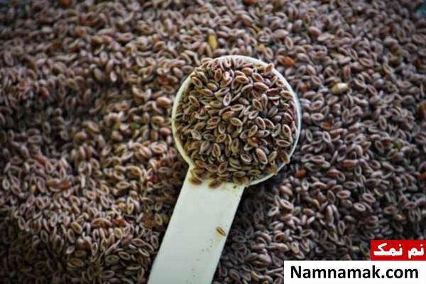 مزاج گیاه اسفرزه نام دیگر گیاه اسفرزه