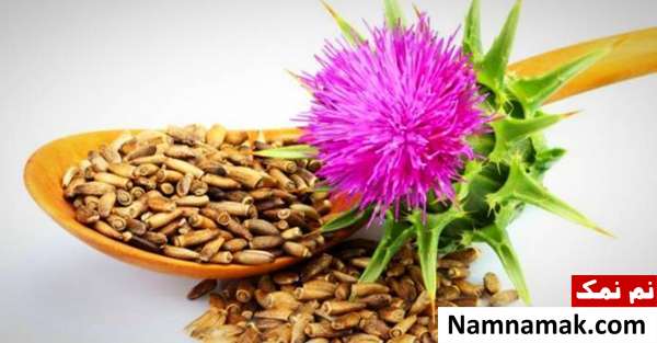 استفاده خار مریم از روشهای تقویت کلیه ها