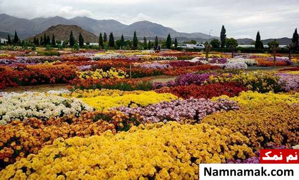 دهکده گل و گیاهان زینتی محلات