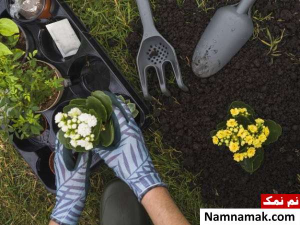 بهترین روش برای لاغری شکم