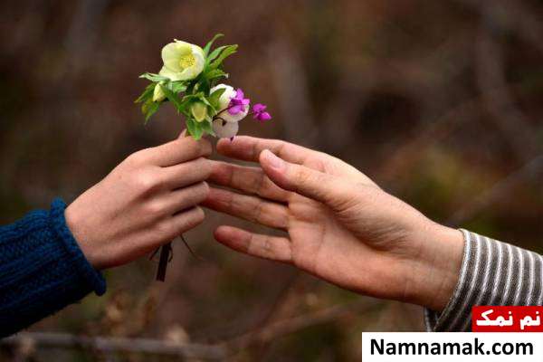 سری اول آیا میدانیدهای جذاب و خواندنی
