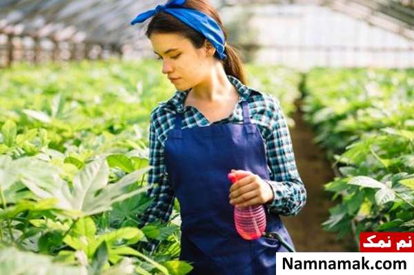 نکات بسیار مهم برای خرید سمپاش خوب