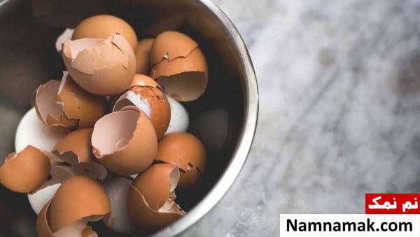 فواید بسیار پوست تخم مرغ مزایای عالی پوست تخم مرغ