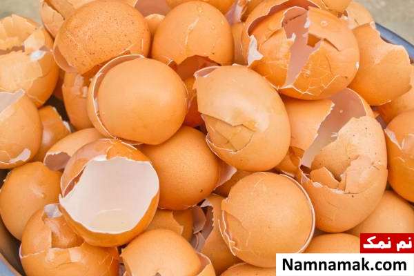 پوست تخم مرغ چیست پوست تخم مرغ چه چیزی در خود دارد؟
