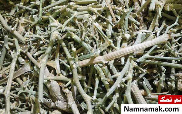 خواص گیاه کزنگ یا فیاله