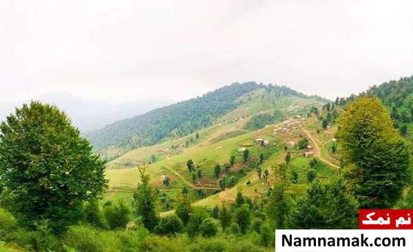 شمال گردی در تابستان