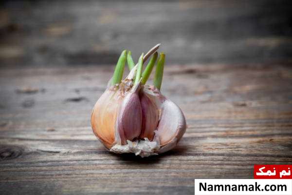 مشتقات سیر درمان گیاهی فشار خون