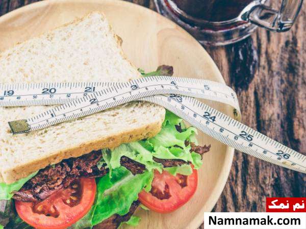 تاثیر تغذیه بر چاقی