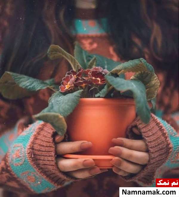 عکس های نایاب برای پروفایل عکس های نایاب برای پروفایل