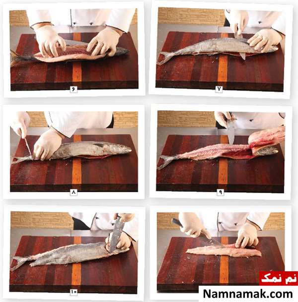 آموزش تصویری نحوه فیله کردن ماهی
