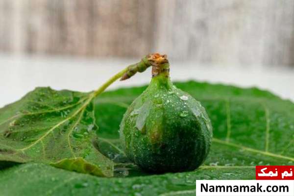 برگ انجیر برای تنظیم قند خون