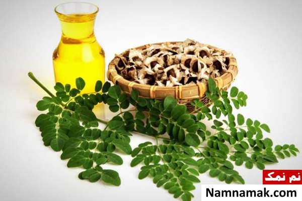 فواید استفاده از روغن مورینگا