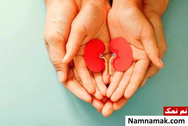 کوچک شدن کلیه ها نشانه های کوچک شدن کلیه