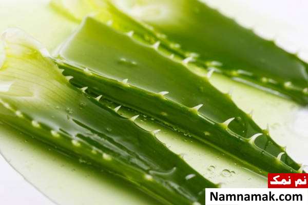 آلوئه ورا درمان آفتاب سوختگی با آلوئه ورا