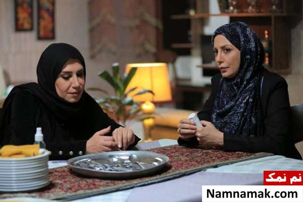 خلاصه داستان و معرفی بازیگران سریال سرزده نسیم ادبی و رویا میرعلمی در سریال سرزده