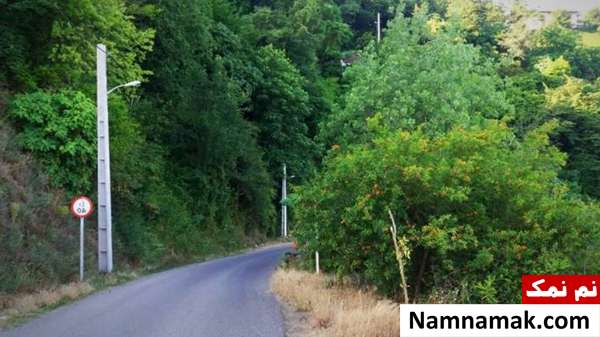 دسترسی به لیلا کوه مازندران