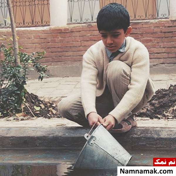 علی شادمان در سرزمین مادری