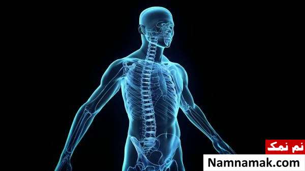 سیستم ایمنی بدن بیماری آدیسون و سیستم ایمنی بدن