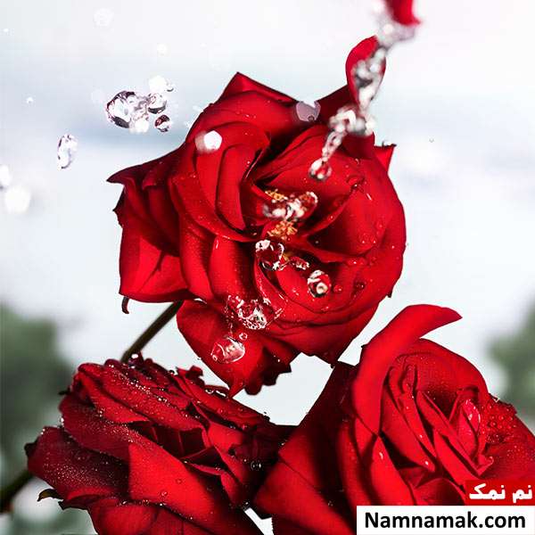 تک بیتی عاشقانه شاد
