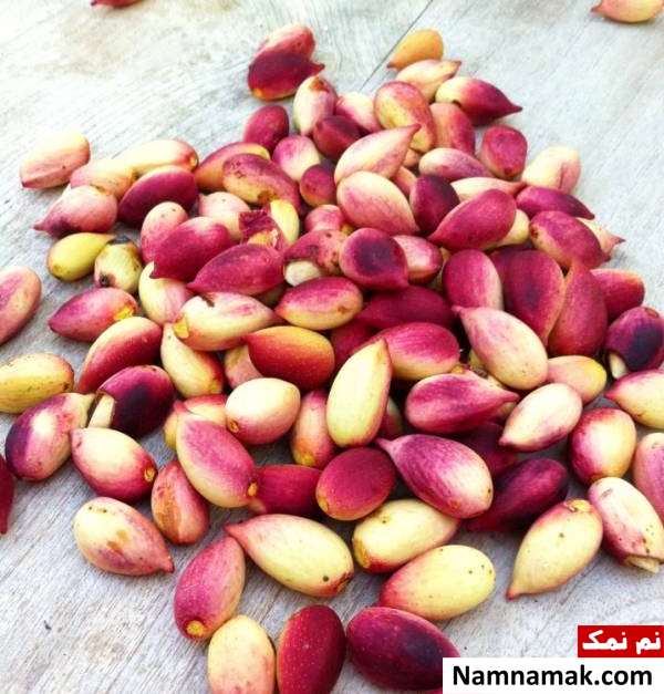 آموزش کامل خشک کردن پسته تازه + تکنیک های مهم روش نگهداری طولانی مدت پسته تازه