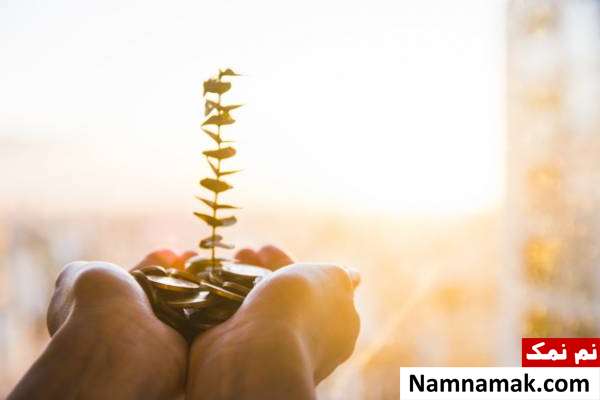 صدقه دادن برای دفع بلا در ماه صفر