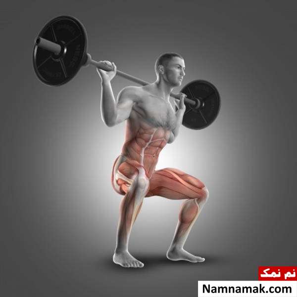 اسکات در بدنسازی و نکات مهم اسکات + فواید و عوارض ماهیچه های درگیر در اسکات