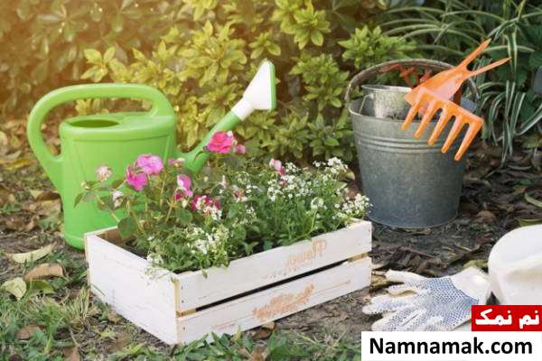 آماده کردن و مراقبت هایی پاییزی از باغچه رسیدگی به باغچه