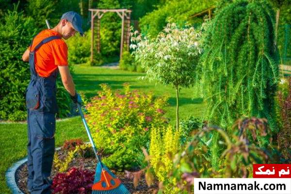 آماده کردن و مراقبت هایی پاییزی از باغچه تمیز کردن باغچه قبل شروع پاییز