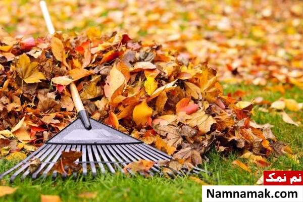 جمع کردن برگ های پاییزی