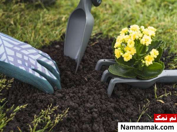 آماده کردن و مراقبت هایی پاییزی از باغچه تعویض کود باغچه
