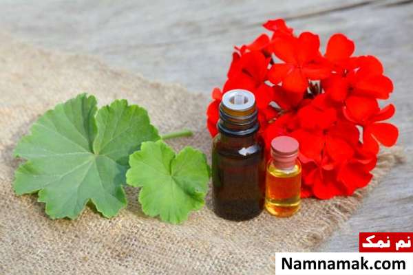 خواص روغن ژرانیوم (شمعدانی)برای سلامت ، درمان و زیبایی + عوارض روغن ژرانیوم برای مقابله با عفونت