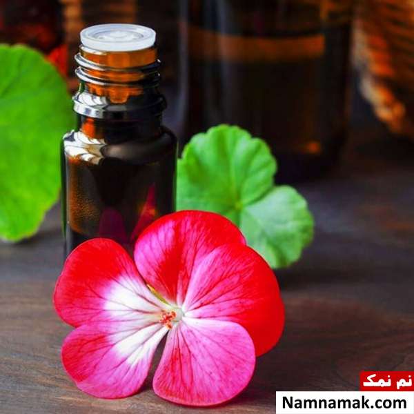 خواص روغن ژرانیوم (شمعدانی)برای سلامت ، درمان و زیبایی + عوارض خواص روغن ژرانیوم برای سلامت بدن