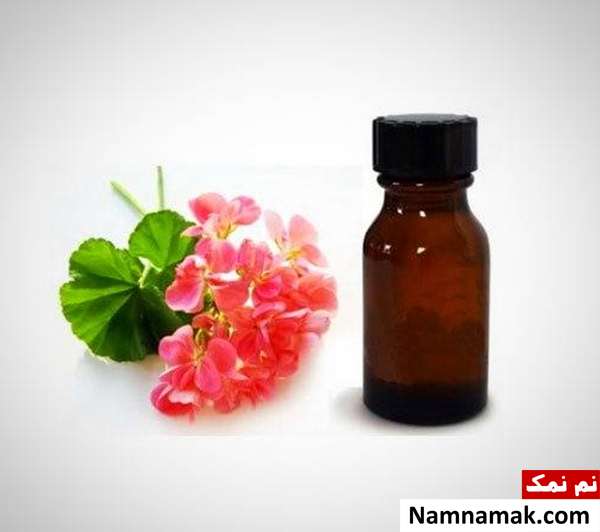 خواص روغن ژرانیوم (شمعدانی)برای سلامت ، درمان و زیبایی + عوارض فواید روغن ژرانیوم برای افزایش قدرت
