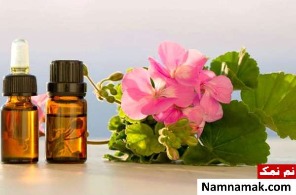 خواص روغن ژرانیوم (شمعدانی)برای سلامت ، درمان و زیبایی + عوارض تمام خواص و عوارض روغن شمعدانی