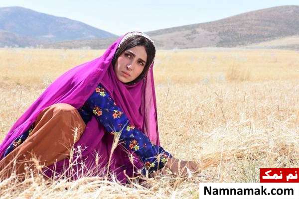 خلاصه داستان و معرفی بازیگران فیلم بچه گرگهای دره سیب سوگل طهماسبی در بچه گرگهای دره سیب