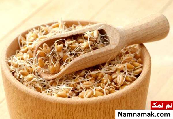آموزش تهیه جوانه گندم