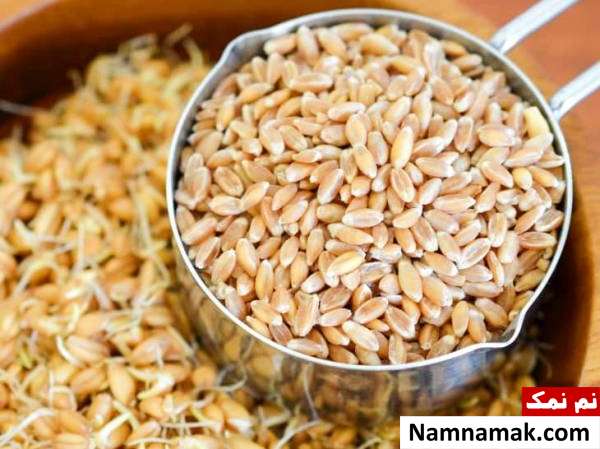 چگونه جوانه گندم درست کنیم