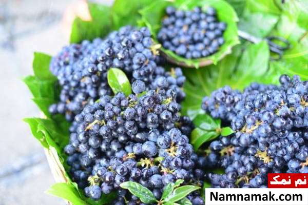 برگ بلوبری برای اگزما
