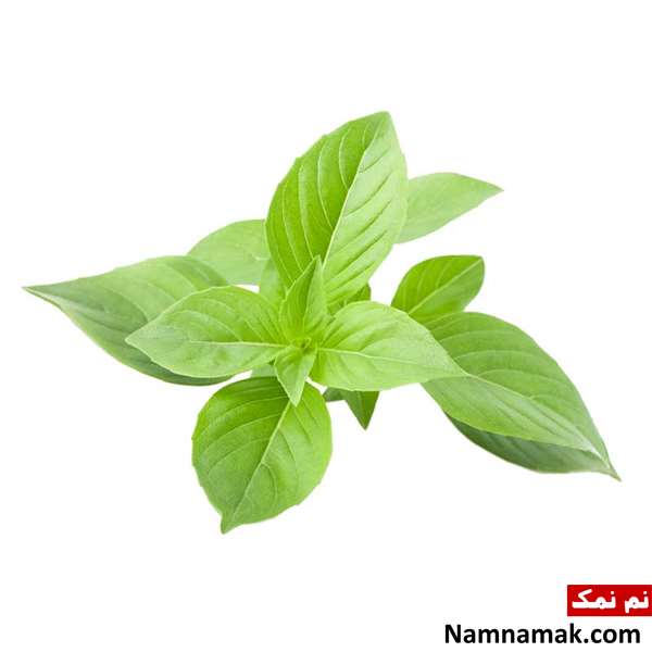 سیر تا پیاز سبزیجات و تره بار