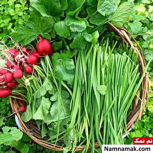 سبزی خوردن برای یبوست