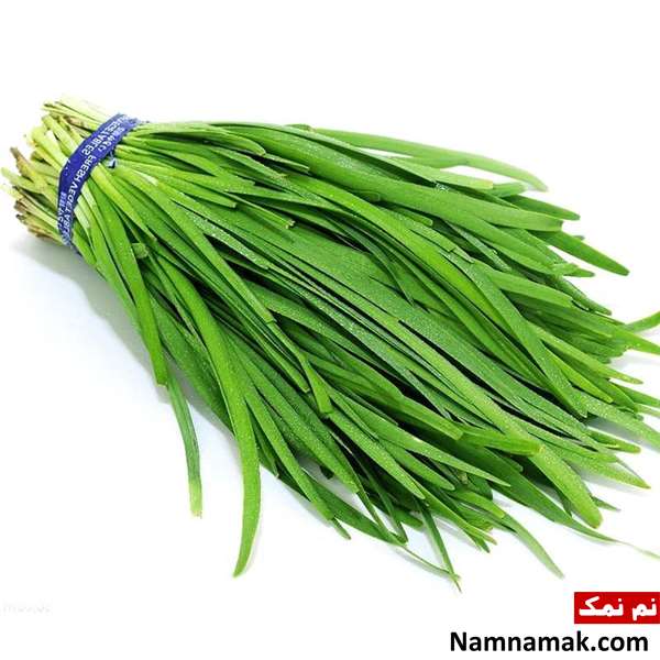 انواع تره سبزی