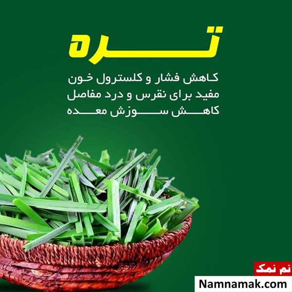 انواع تره سبزی