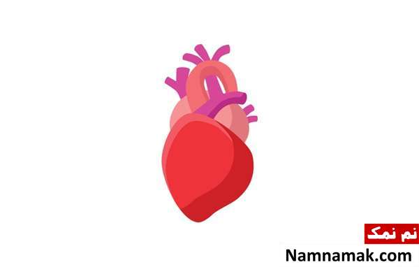 علائم مخفی پوکی استخوان چیست؟ علائم مخفی پوکی استخوان چیست؟