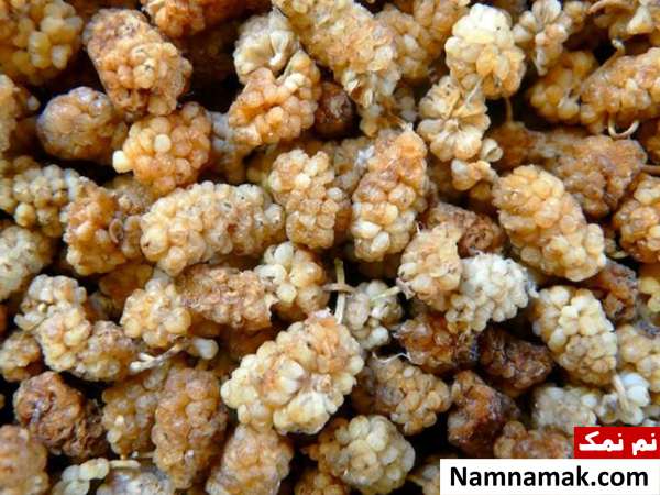 خواص درمانی و زیبایی پنهان در یک مشت توت خشک تاریخچه توت سفید