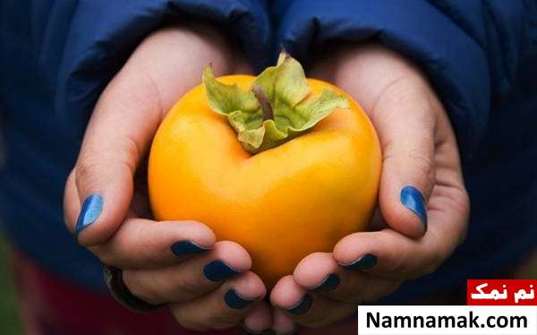 تمام خواص شیره خرمالو و عوارض آن برای بدن استفاده از شیره خرمالو در بارداری