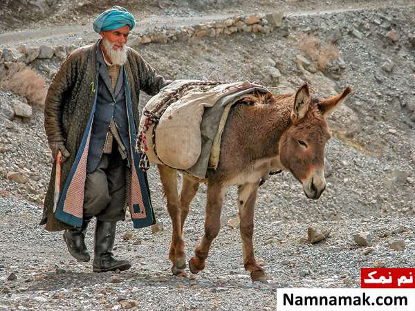 ضرب المثل اگر خیلی باسوادی برو خط پیشانی خودت را بخوان