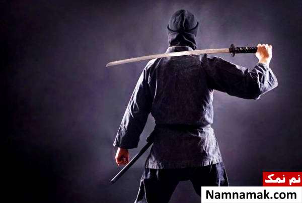 تاریخچه پیدایش نینجاها